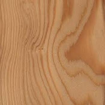 Larch Timber