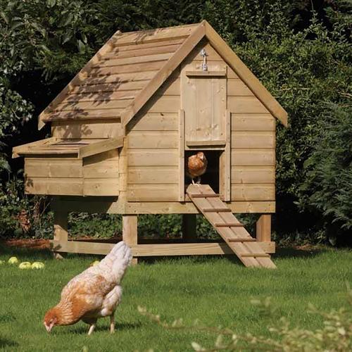 Image for Large chicken coop