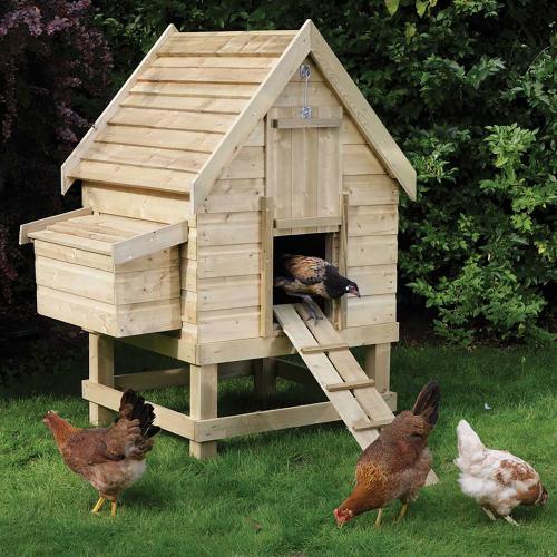 Image for Small chicken coop