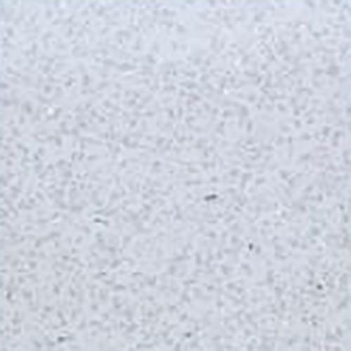 Image for Bas Shower Per 4 - 2.7x250x3 - White Sparkle
